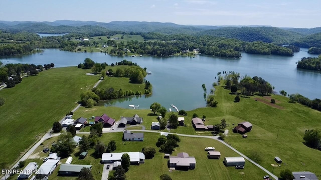 bird's eye view featuring a view of trees and a water and mountain view