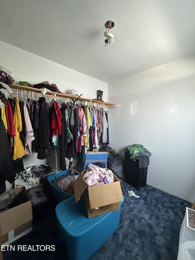 walk in closet with carpet flooring