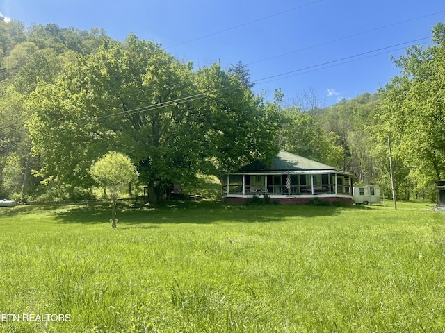 view of yard featuring a view of trees