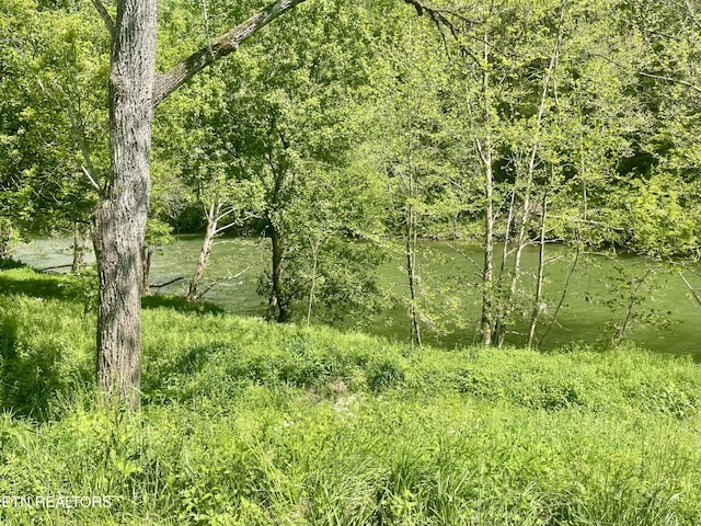 view of landscape