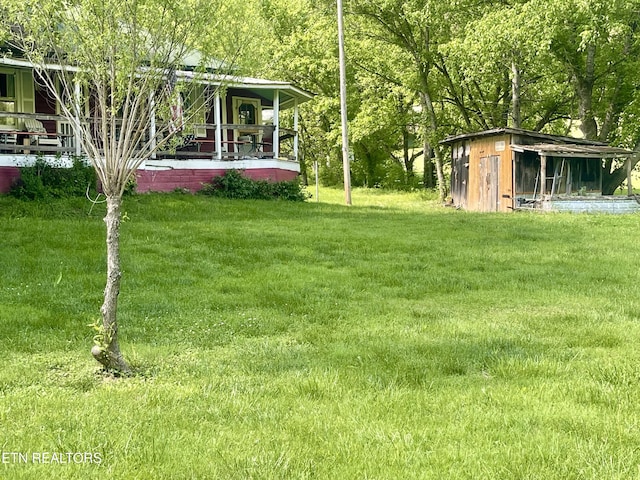 view of yard featuring an outdoor structure and a storage shed