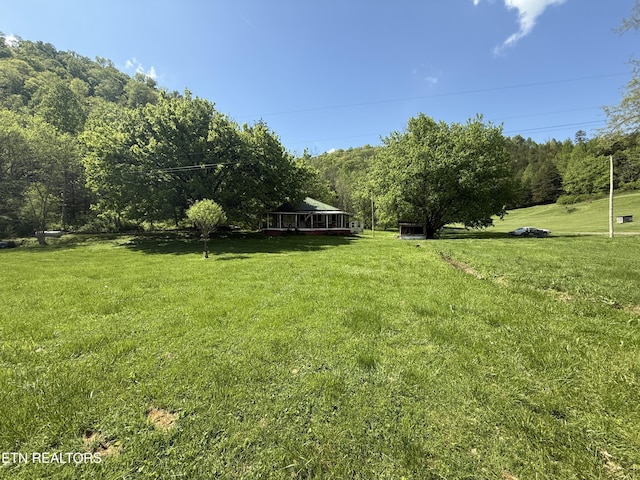 view of yard featuring a forest view