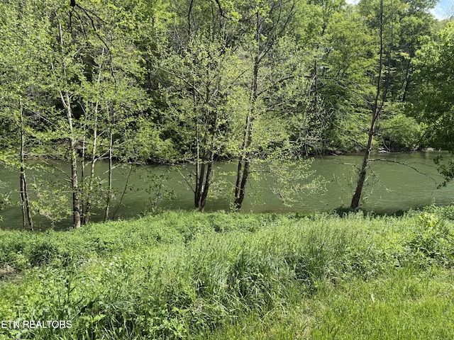 view of landscape