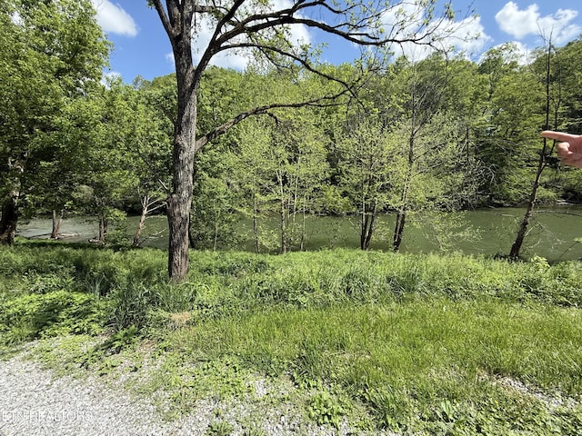 view of nature