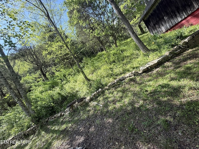 view of landscape
