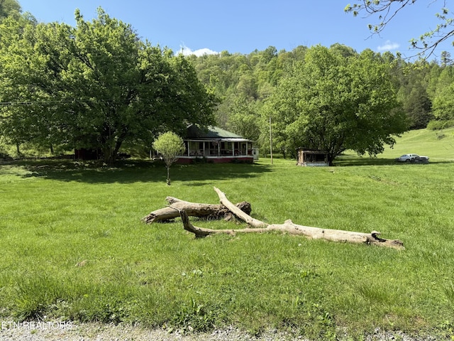 view of yard featuring a view of trees