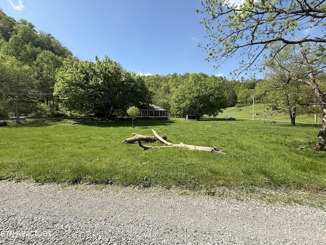 view of yard with a wooded view and a rural view