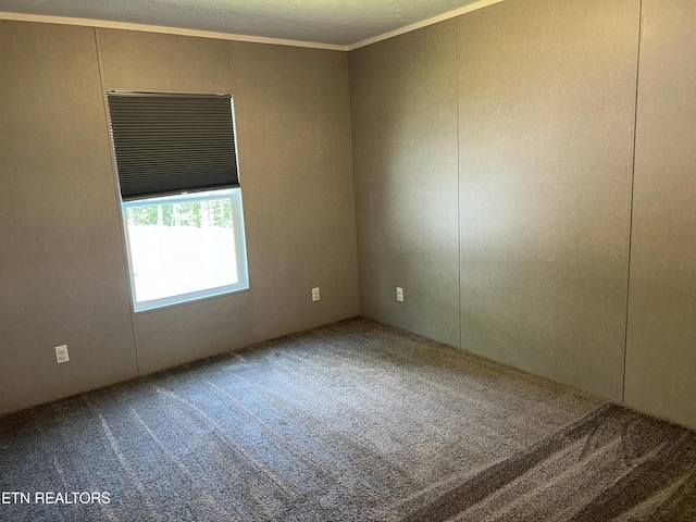 spare room featuring carpet, a decorative wall, and crown molding
