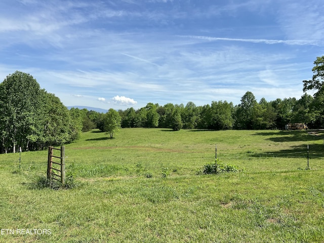 view of local wilderness with a rural view