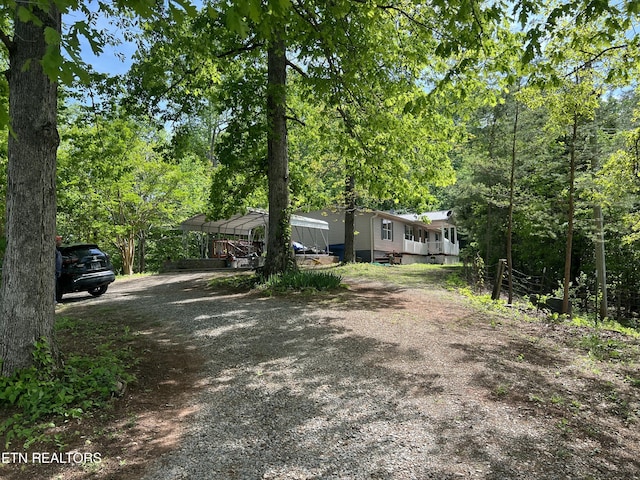 view of yard with dirt driveway and a carport