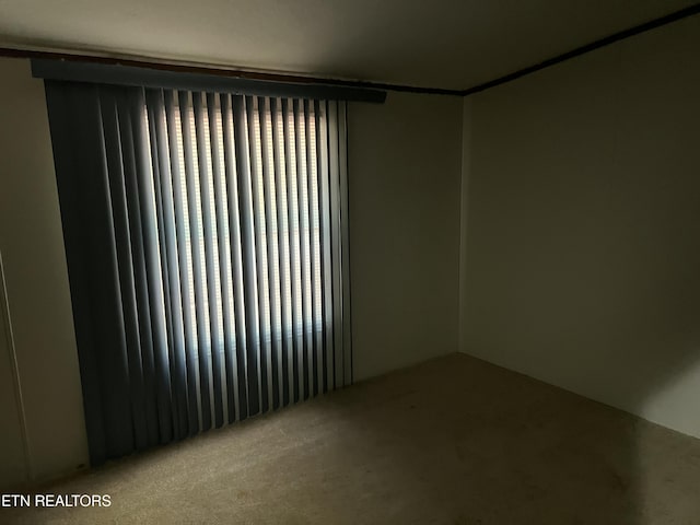unfurnished room featuring carpet floors