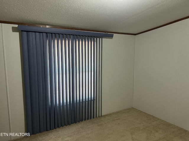 unfurnished room with a textured ceiling and carpet