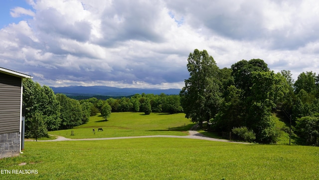 124 Lindsey Cemetery Rd, Madisonville, TN 37354 - photo 41