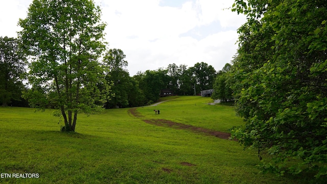 124 Lindsey Cemetery Rd, Madisonville, TN 37354 - photo 42