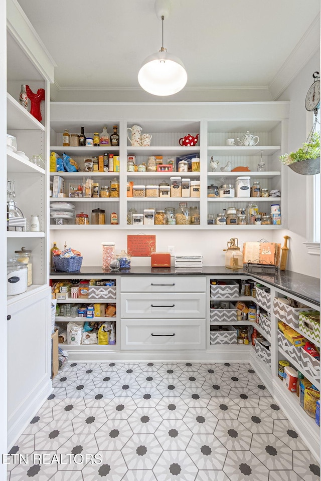 367 Barnsley Rd, Farragut, TN 37934 - view of pantry