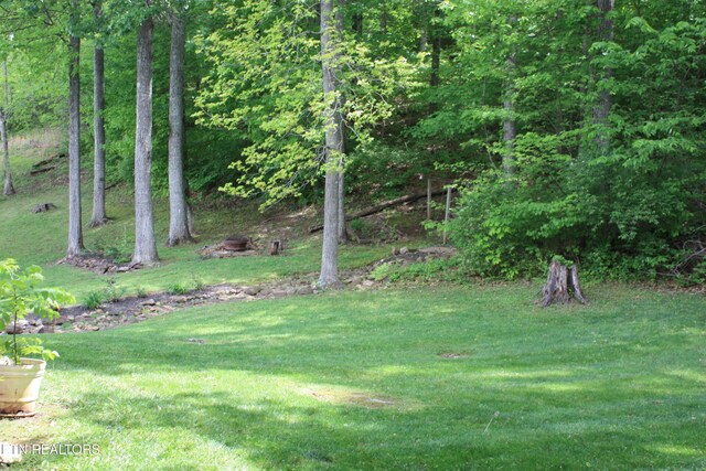 6912 Ghiradelli Rd, Knoxville, TN 37918 - photo 9