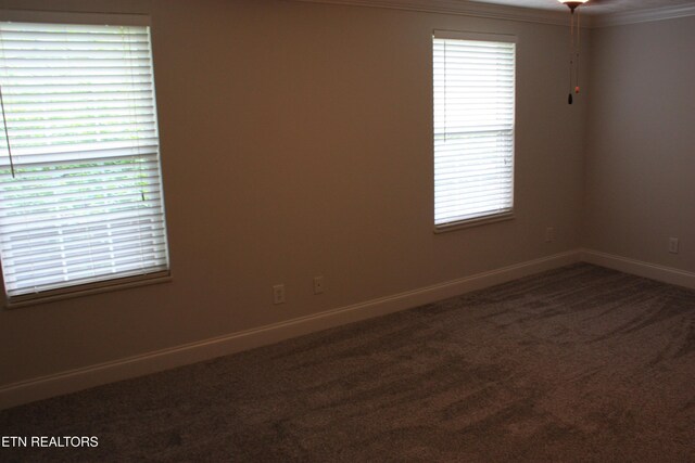 6912 Ghiradelli Rd, Knoxville, TN 37918 - photo 21
