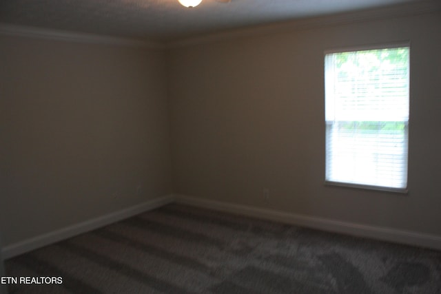 6912 Ghiradelli Rd, Knoxville, TN 37918 - photo 33