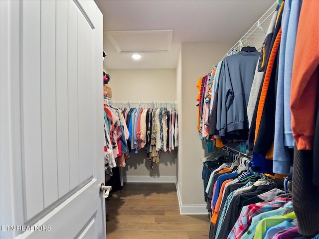 107 Mistletoeberry Rd, Oak Ridge, TN 37830 - walk in closet with attic access and wood finished floors
