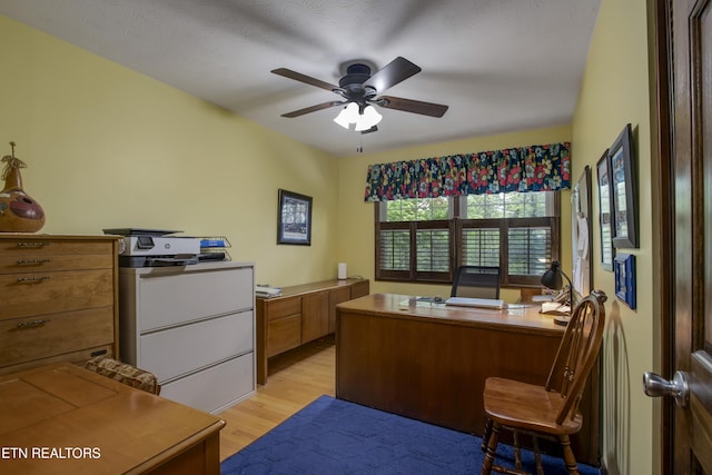 office space featuring ceiling fan and light wood-style flooring