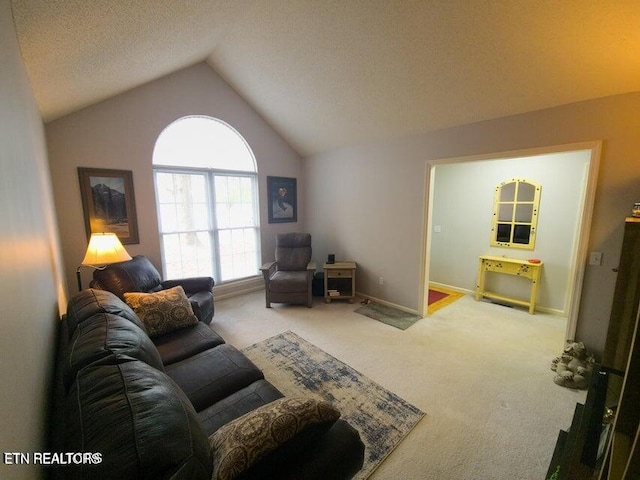 1703 Perimeter Dr, Jamestown, TN 38556 - carpeted living room with a textured ceiling, vaulted ceiling, and baseboards