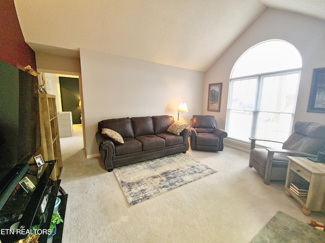 1703 Perimeter Dr, Jamestown, TN 38556 - living area with a textured ceiling, lofted ceiling, and light colored carpet