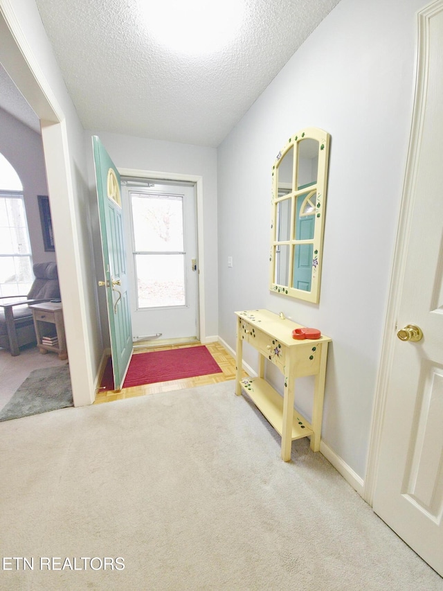 1703 Perimeter Dr, Jamestown, TN 38556 - doorway with carpet floors, a wealth of natural light, baseboards, and a textured ceiling