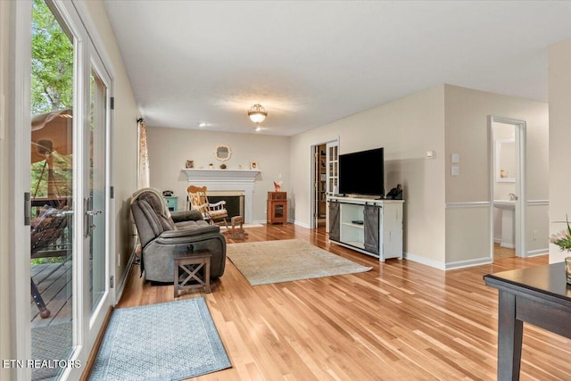 living room featuring baseboards, wood finished floors, and a fireplace