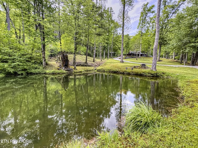 480 Holder Cemetery Rd, Tellico Plains, TN 37385 - photo 13