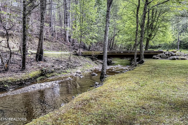 480 Holder Cemetery Rd, Tellico Plains, TN 37385 - photo 9
