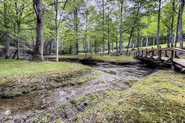 480 Holder Cemetery Rd, Tellico Plains, TN 37385 - photo 7