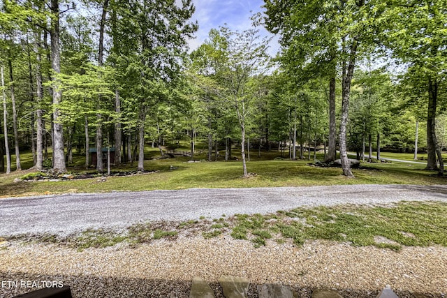 480 Holder Cemetery Rd, Tellico Plains, TN 37385 - photo 27
