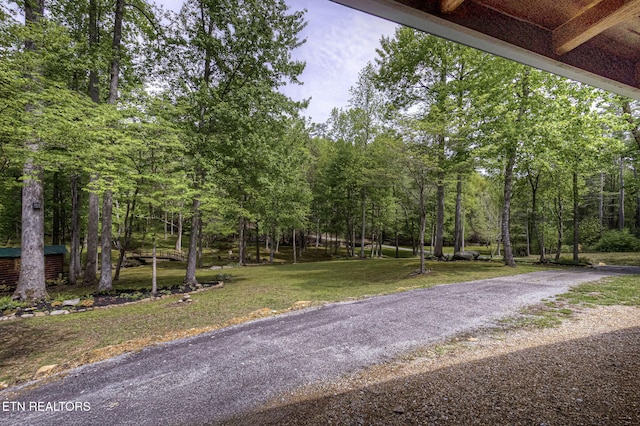 480 Holder Cemetery Rd, Tellico Plains, TN 37385 - photo 22
