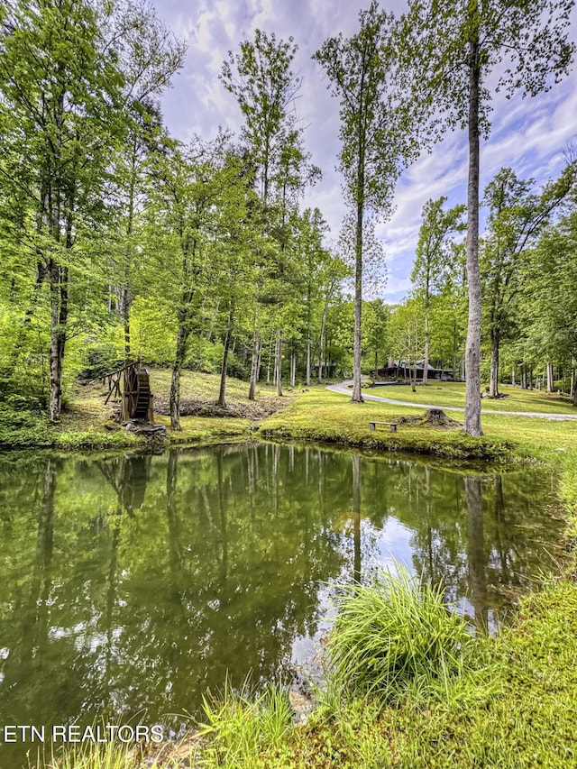 480 Holder Cemetery Rd, Tellico Plains, TN 37385 - photo 10