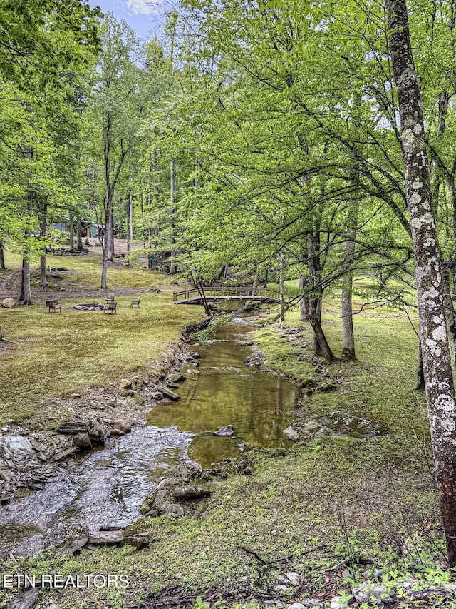 480 Holder Cemetery Rd, Tellico Plains, TN 37385 - photo 12