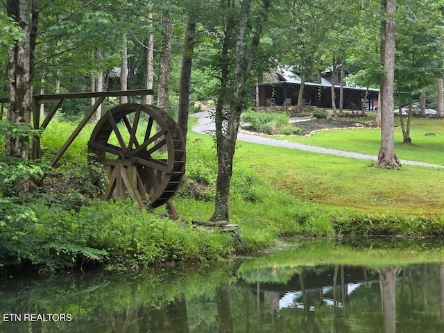480 Holder Cemetery Rd, Tellico Plains, TN 37385 - photo 58