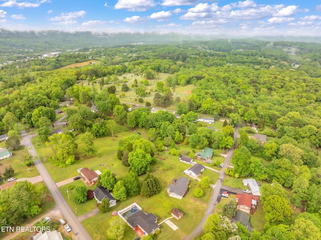 bird's eye view with a forest view