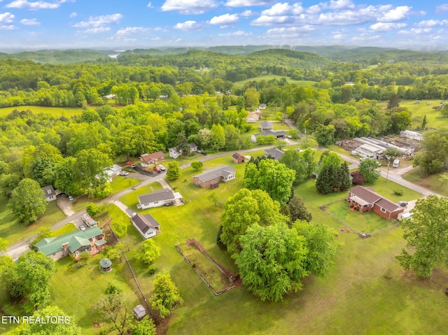 bird's eye view with a residential view and a forest view