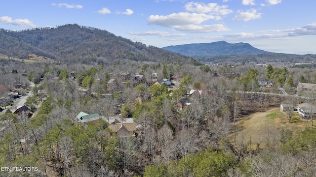 view of mountain feature