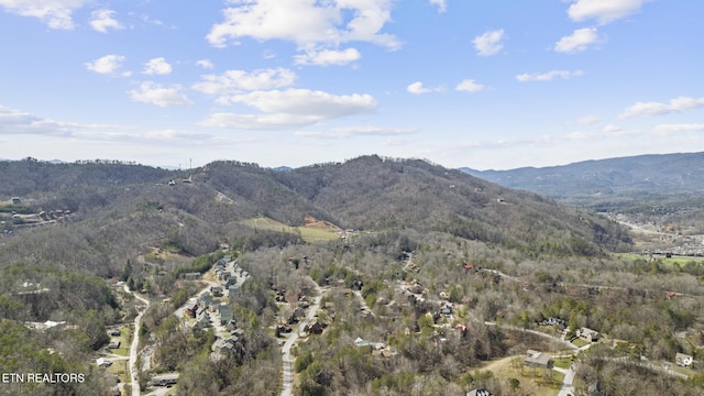 mountain view with a view of trees