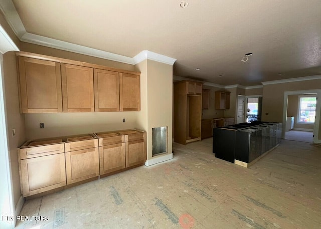 kitchen with crown molding and a center island