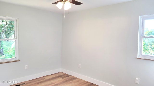 1805 Ferd Hickey Rd, Knoxville, TN 37909 - spare room with light wood finished floors, a wealth of natural light, baseboards, and a ceiling fan