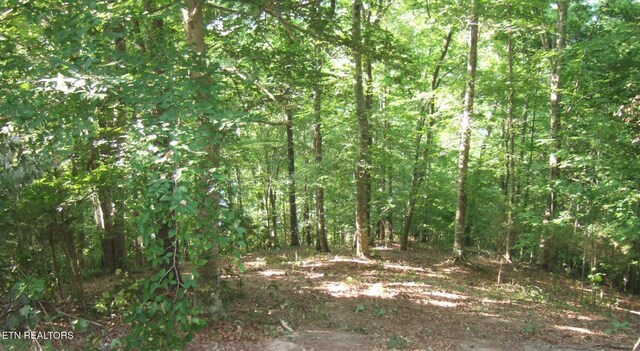Mountain Shores Rd, New Tazewell, TN 37825