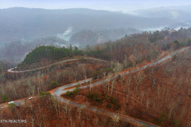 Mountain Shores Rd, New Tazewell, TN 37825