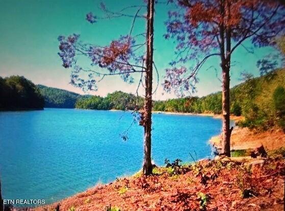Mountain Shores Rd, New Tazewell, TN 37825