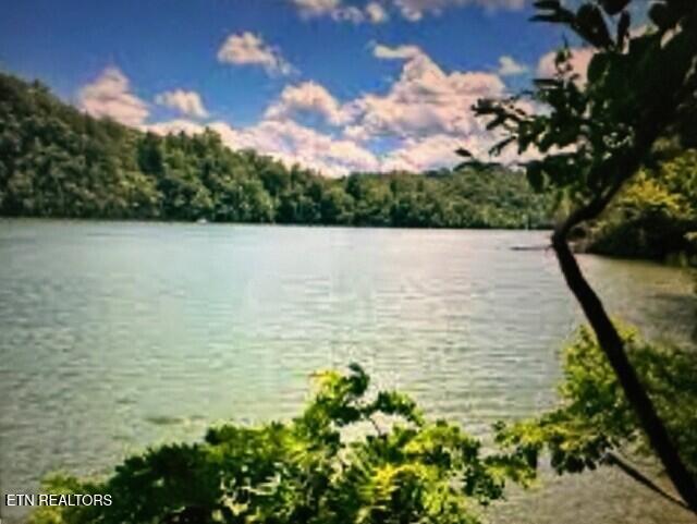 Mountain Shores Rd, New Tazewell, TN 37825