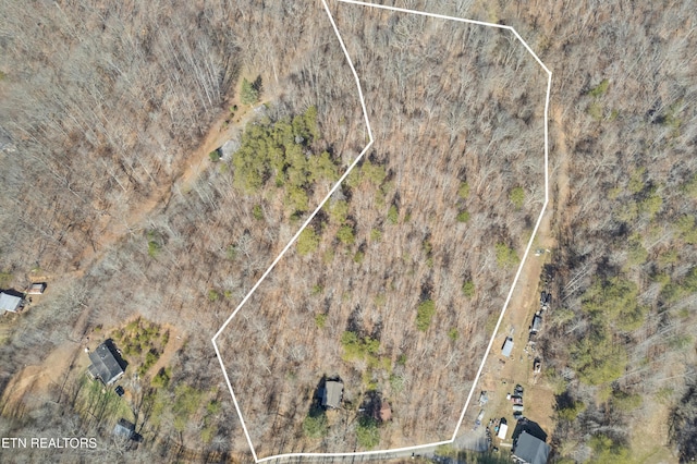1582 Hawk Ln, Seymour, TN 37865 - photo 3