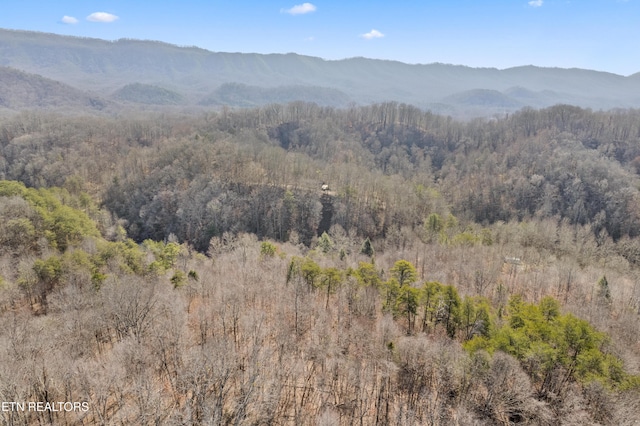 1582 Hawk Ln, Seymour, TN 37865 - photo 6
