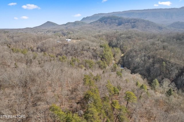 1582 Hawk Ln, Seymour, TN 37865 - photo 7