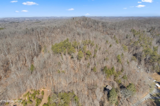 1582 Hawk Ln, Seymour, TN 37865 - photo 8